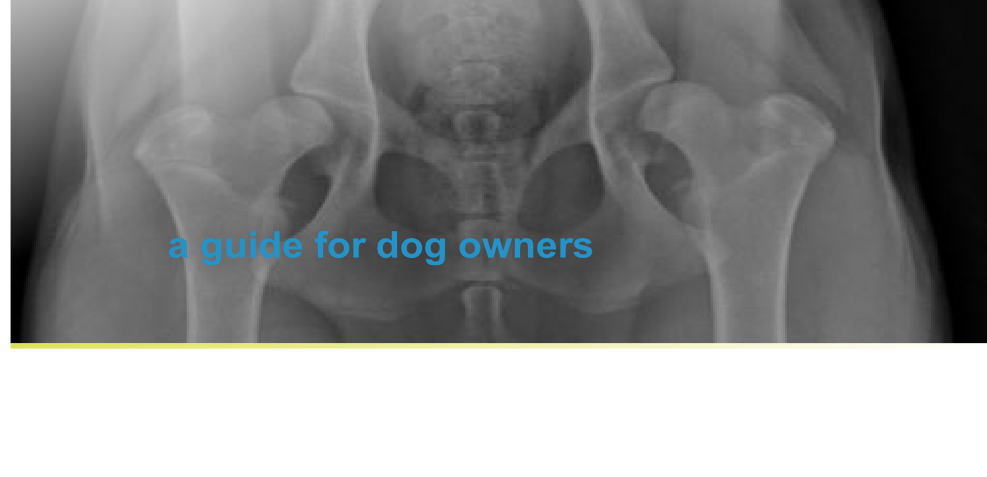 Referral, Greenmount, Veterinary, vet, disc, disease, prolapse, Orthopaedic, orthopedic, specialist, clinic, fractures, joint, surgery, arthroscopy, endoscopy, spinal, northern, ireland, OCD, FCP, TPO, cruciate ligament, tplo, hip, dysplasia, dislocation, medial, patellar, luxation, broken, leg, wobbler, caudal cervical spondylopathy, lumbar, paralysis,ACL, anterior cruciate ligament rupture, dislocated, dislocation, plating, pinning, external fixator, triple pelvic osteotomy, portadown, co armagh northern ireland, www.vetortho.co.uk, www.vetclinic.co.uk