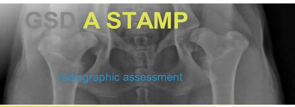 Referral, Greenmount, Veterinary, vet, disc, disease, prolapse, Orthopaedic, orthopedic, specialist, clinic, fractures, joint, surgery, arthroscopy, endoscopy, spinal, northern, ireland, OCD, FCP, TPO, cruciate ligament, tplo, hip, dysplasia, dislocation, medial, patellar, luxation, broken, leg, wobbler, caudal cervical spondylopathy, lumbar, paralysis,ACL, anterior cruciate ligament rupture, dislocated, dislocation, plating, pinning, external fixator, triple pelvic osteotomy, portadown, co armagh northern ireland, www.vetortho.co.uk, www.vetclinic.co.uk