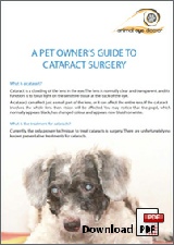 pet-owners-guide-to-cataract-surgery3.pdf