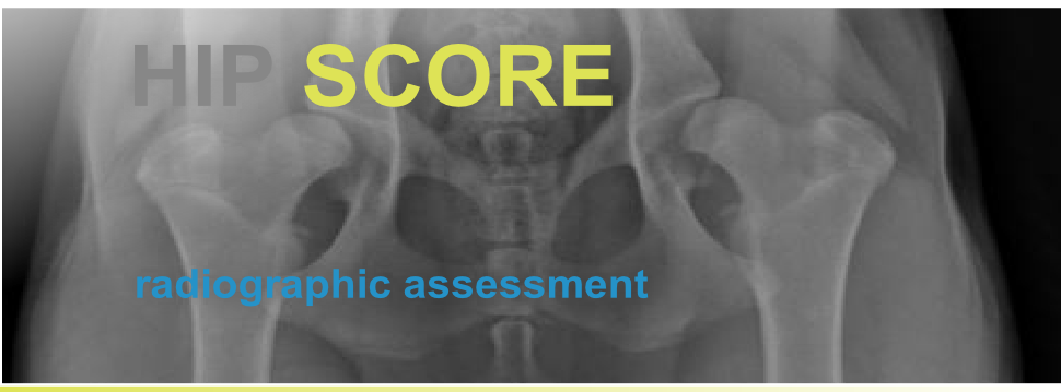 Referral, Greenmount, Veterinary, vet, disc, disease, prolapse, Orthopaedic, orthopedic, specialist, clinic, fractures, joint, surgery, arthroscopy, endoscopy, spinal, northern, ireland, OCD, FCP, TPO, cruciate ligament, tplo, hip, dysplasia, dislocation, medial, patellar, luxation, broken, leg, wobbler, caudal cervical spondylopathy, lumbar, paralysis,ACL, anterior cruciate ligament rupture, dislocated, dislocation, plating, pinning, external fixator, triple pelvic osteotomy, portadown, co armagh northern ireland, www.vetortho.co.uk, www.vetclinic.co.uk